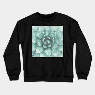 Plants print, Minimalist, Houseleek, Beach art, Nature, Modern art, Wall art Crewneck Sweatshirt